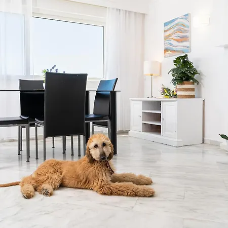 Monko Bora Bora Apartment