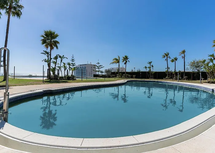 Monko Bora Bora * בנאלמדנה